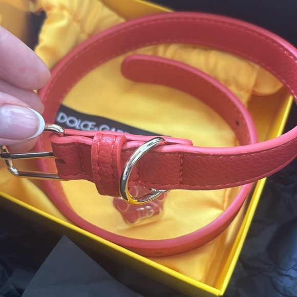 🔥 NEW LIMITED EDITON FÈFÈ DOLCE GABBANA M/L dog COLLAR AND FRAGRANCE - Picture 7 of 9